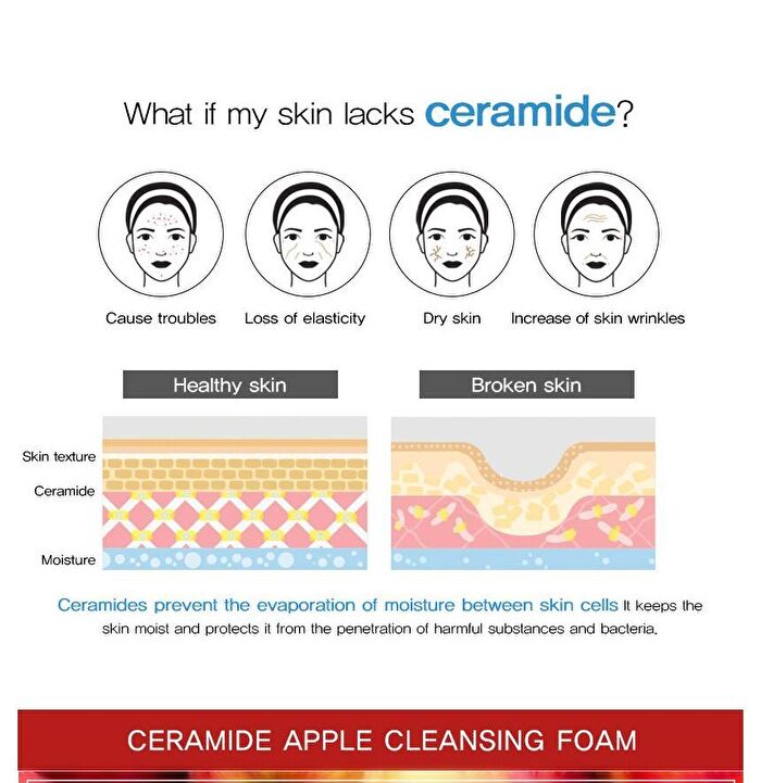 Ceramide Cleansing Foam - 5 Types - Rice