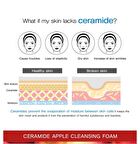 Ceramide Cleansing Foam - 5 Types - Rice