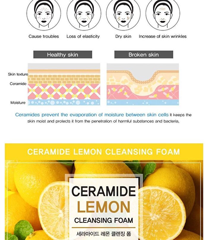 Ceramide Cleansing Foam - 5 Types - Rice
