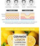 Ceramide Cleansing Foam - 5 Types - Rice