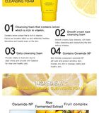 Ceramide Cleansing Foam - 5 Types - Rice