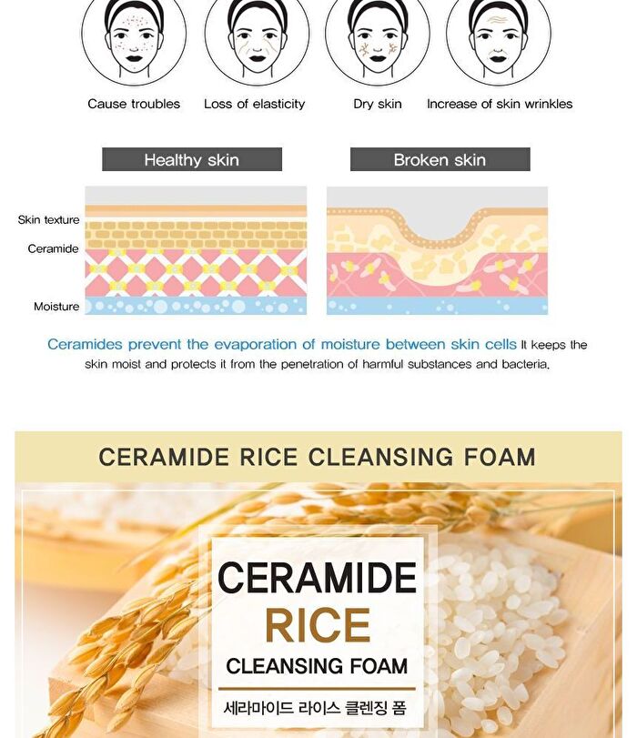 Ceramide Cleansing Foam - 5 Types - Rice