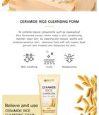 Ceramide Cleansing Foam - 5 Types - Rice