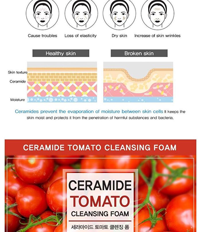 Ceramide Cleansing Foam - 5 Types - Rice