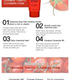 Ceramide Cleansing Foam - 5 Types - Rice