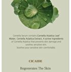 Centella Skin Resurrection Serum - 60ml