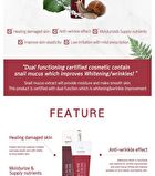 Snail All in One Repair Cream Tube - 30ml