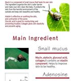 Snail All in One Repair Cream Tube - 30ml
