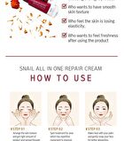 Snail All in One Repair Cream Tube - 30ml