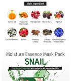 Moisture Essence Mask Set - 10 Types - Snail