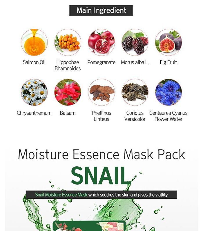 Moisture Essence Mask Set - 10 Types - Charcoal