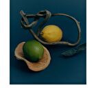 Body Lotion Blue Medina Tangerine - 2025 Version - 300ml
