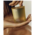Body Oil Blue Medina Tangerine - 2025 Version - 100ml