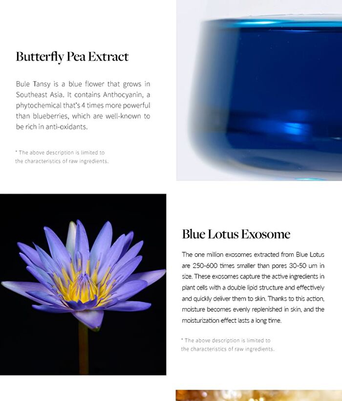 RE:BLUE Deep Concentrate Ampoule - 30ml