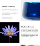 RE:BLUE Deep Concentrate Ampoule - 30ml