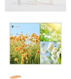 Nail Healer Pen - 2ml