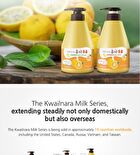 Milk Body Lotion - 9 Types - Coconut