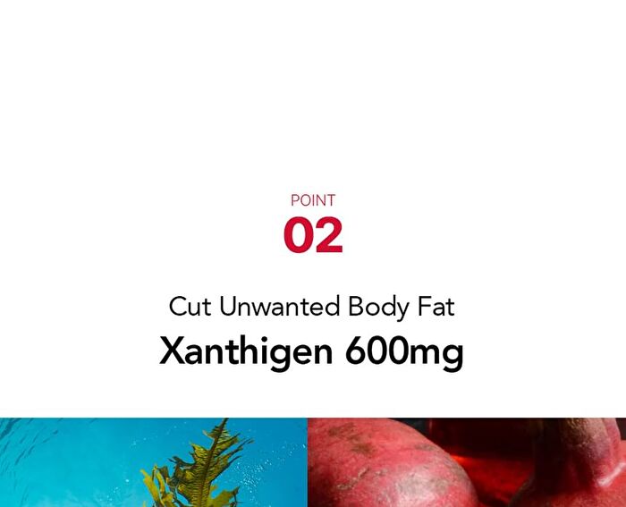 Foodology Burningology D-Day - 3,800mg x 10 packets