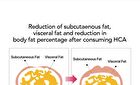 Foodology Burningology D-Day - 3,800mg x 10 packets