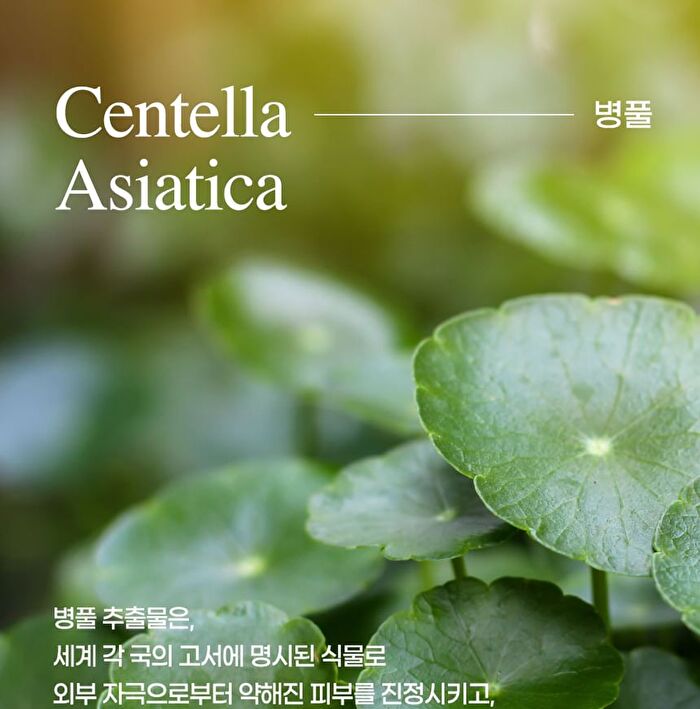 mixsoon Centella Cleansing Water - Renewed: 300ml