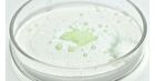 Micro Tea Powder Cleanser - 70g