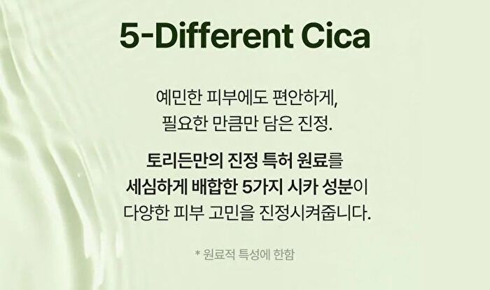Balanceful Cica Toner Pad - 60 patches