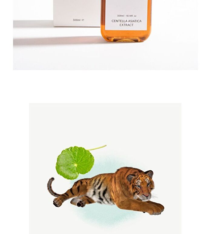 Centella Asiatica Extract Toner Mini - 40ml