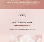 Mqny Powder Matte Lipstick - 6 Colors - #02 Steam Rose