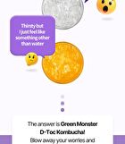 Green Monster D-Toc Kombucha - 6 Types - Honey Grapefruit