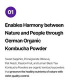 Green Monster D-Toc Kombucha - 6 Types - Lemon Black Tea