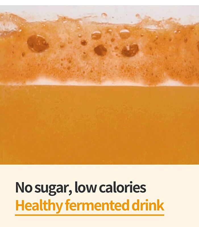 Green Monster D-Toc Kombucha - 6 Types - Lemon Black Tea