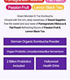 Green Monster D-Toc Kombucha - 6 Types - Lemon Black Tea