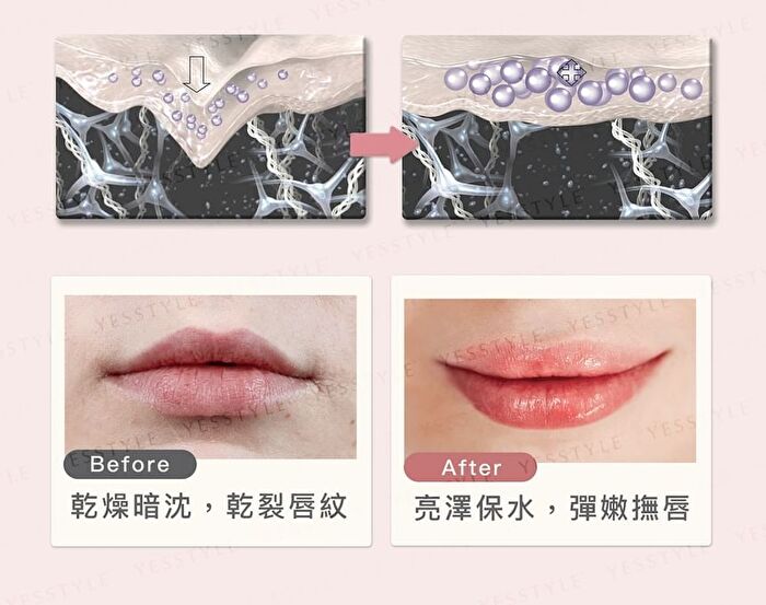 Black Cat Paw Lip Balm Original Flavor & Colorless - 3g