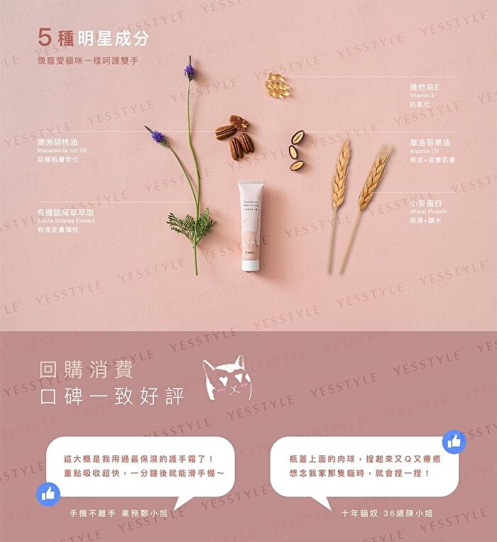 Cat Paw Hand & Nail Cream - 40ml