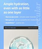 Ultra-Low Molecular Hyaluronic Acid Serum - 50ml