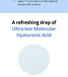 Ultra-Low Molecular Hyaluronic Acid Serum - 50ml