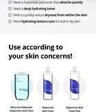 Ultra-Low Molecular Hyaluronic Acid Toner - 300ml