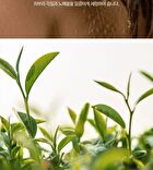 Nard Body Wash - 4 Types - Tea Tree Rosemary