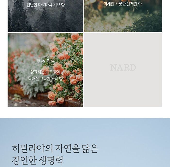 Nard Shampoo - 4 Types - Tangerine Eucalyptus
