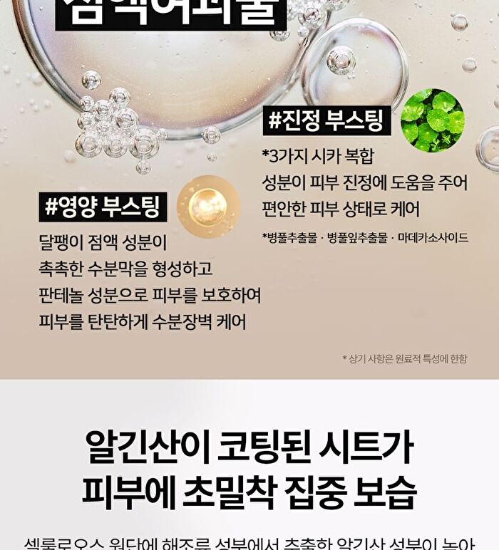 Snail Solution Skin Booster Mask Sheet - 2024 Version - 25g x 1 sheet
