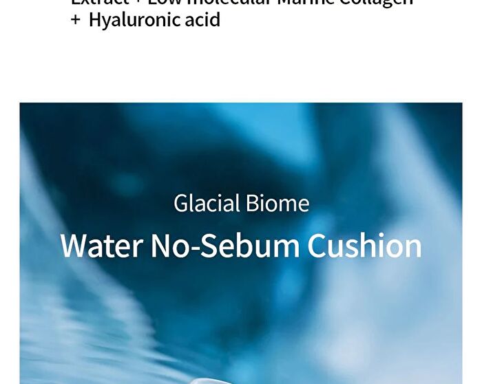 Glacial Biome Water No-Sebum Cushion - 10g