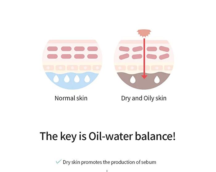 Glacial Biome Water No-Sebum Cushion - 10g