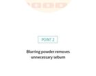 Glacial Biome Water No-Sebum Cushion - 10g