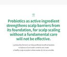 5 Probiotics Scalp Scaling Shampoo - 300ml
