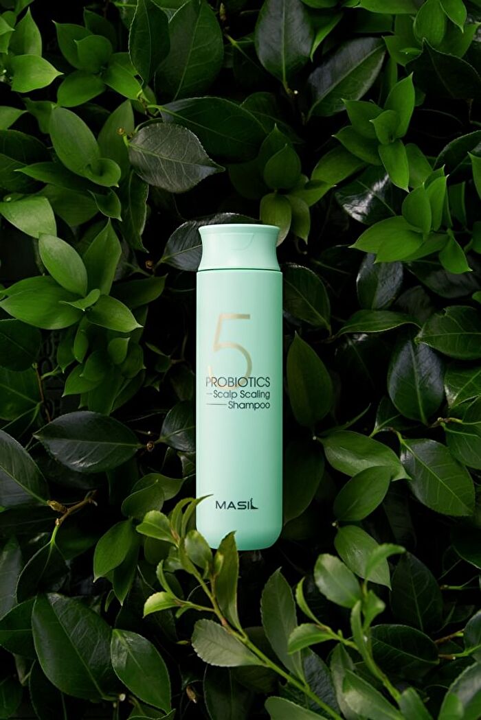 5 Probiotics Scalp Scaling Shampoo - 300ml