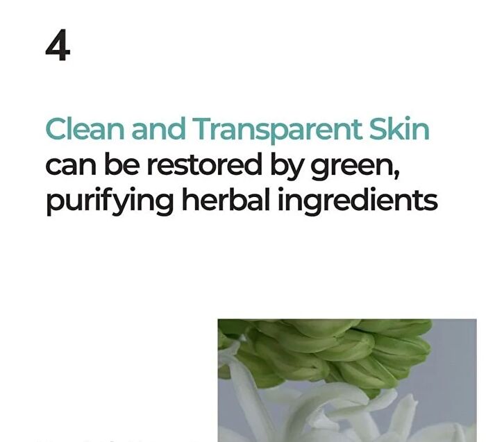 numbuzin No.1 Centella Re-Leaf Green Toner Pad - 70 pads