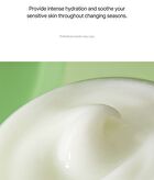 Balanceful Cica Cream - 80ml