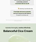 Balanceful Cica Cream - 80ml