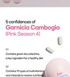 All New Pink Garcinia Season 4 - 1,200mg x 90 tablets