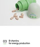 Green Tea Extract (Green Season 4) - 1100mg x 60 tablets